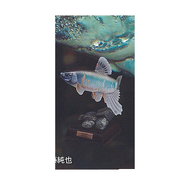 yuyou_g240976t04