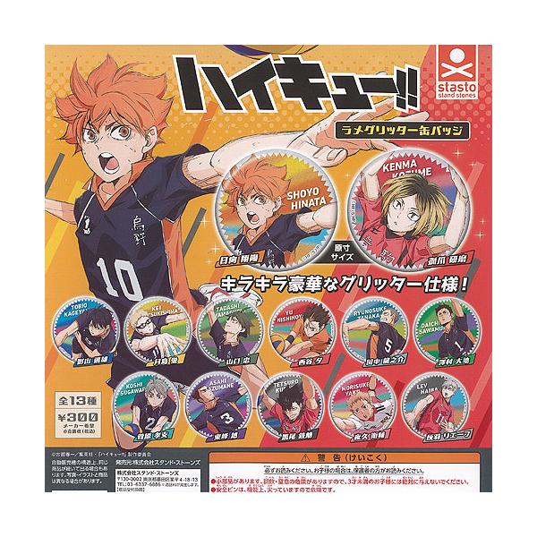ハイキュー ラメグリッター 缶バッジ 全13種セット スタンド