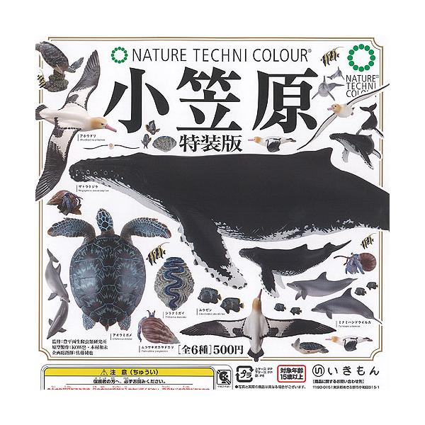 ネイチャーテクニカラー 小笠原 特装版 全6種+ディスプレイ台紙セット