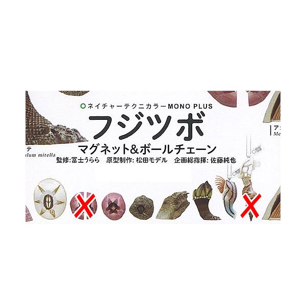 ネイチャーテクニカラー MONO PLUS フジツボ マグネット ＆ ボール