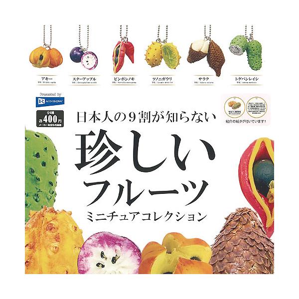 日本人の9割が知らない 珍しい フルーツ ミニチュア コレクション 全6