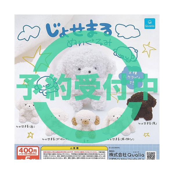 じょせまる ぬいぐるみ 全5種セット 1月再入荷予約 Qualia ガチャポン