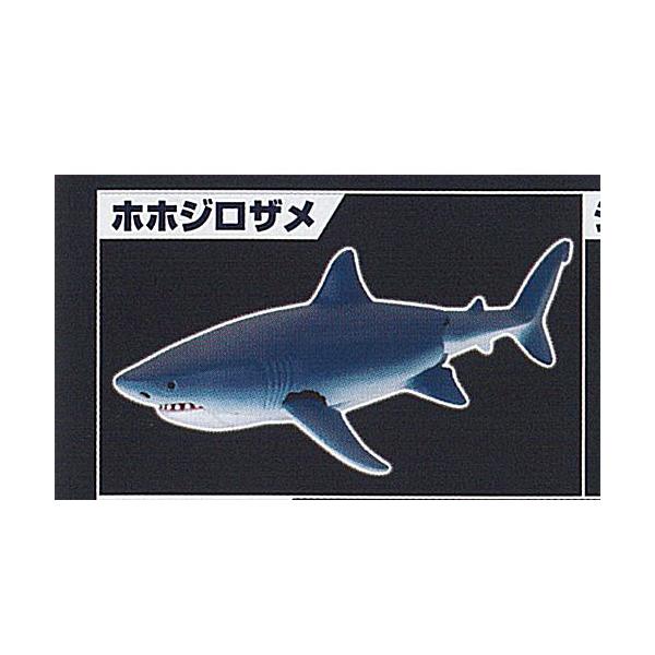 あそべる生物 フィギュア シリーズ ザ シャーク 集結 鮫のなかま 1