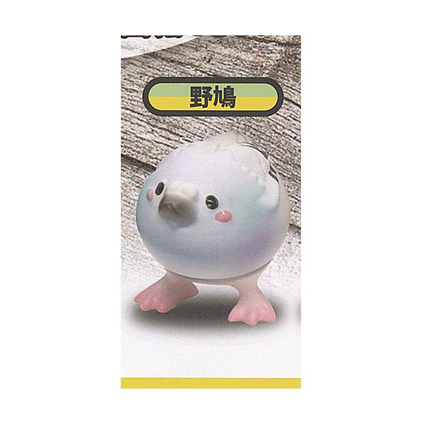 ボンゲ式 ことりっち 3：野鳩 HMA ガチャポン ガチャガチャ ガシャポン