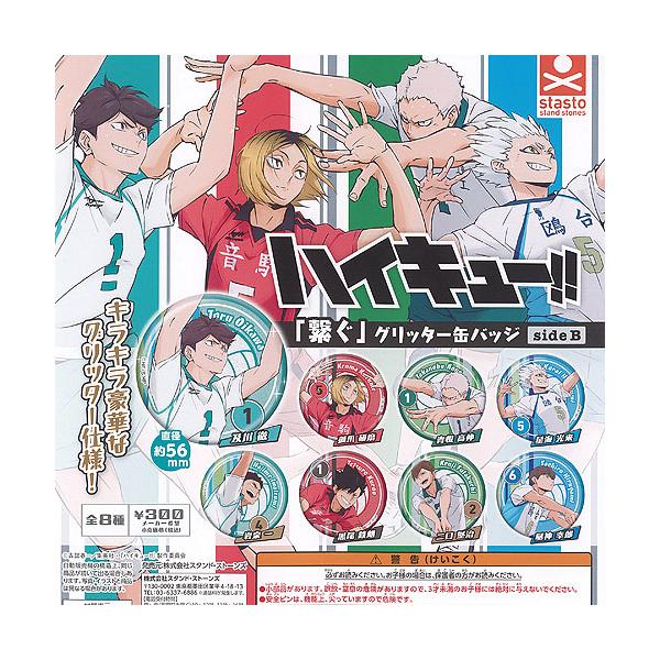 ハイキュー 繋ぐ グリッター 缶バッジ side B 全8種セット スタンド