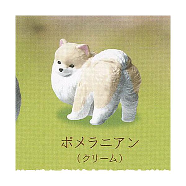 ふり向けば 君が 犬 歩み 3：ポメラニアン クリーム エール ガチャポン ガチャガチャ ガシャポン