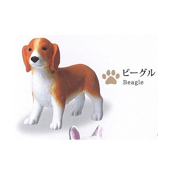 世界の 名犬 セレクション 2 1：ビーグル エール ガチャポン ガチャガチャ ガシャポン