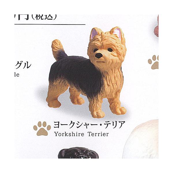 世界の 名犬 セレクション 2 5：ヨークシャー・テリア エール