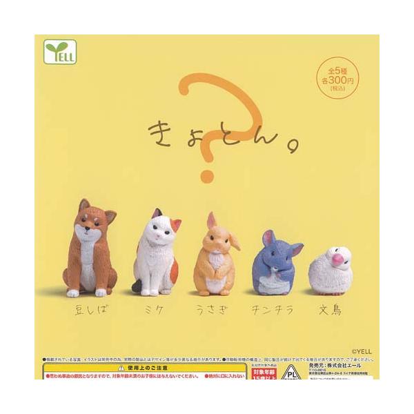 YELL きょとん 全5種+ディスプレイ台紙セット エール ガチャポン