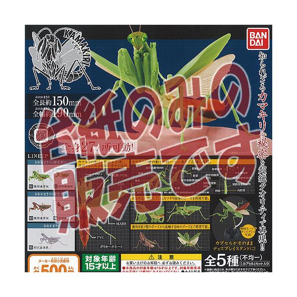 y񔄕ifBXvC䎆z܂ KAMAKIRI o_C K`| K`K` KV|