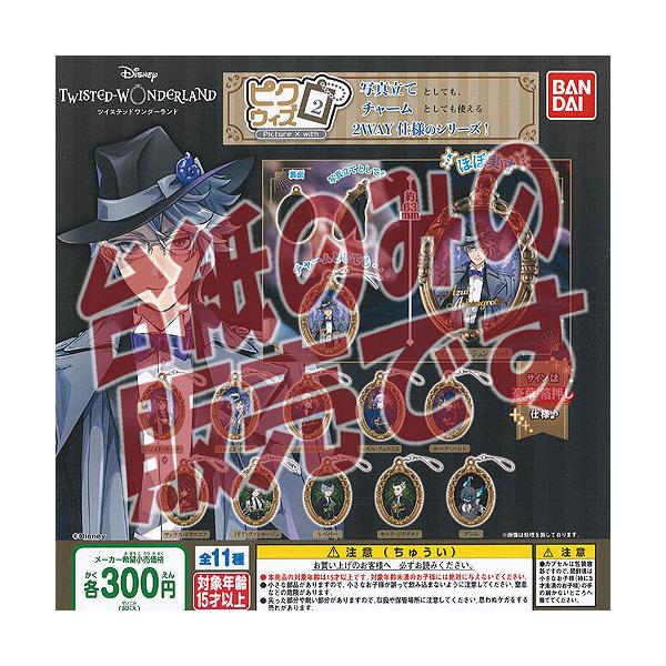 y񔄕ifBXvC䎆zfBYj[ cCXebh _[h sNEBY 2 o_C K`| K`K` KV|