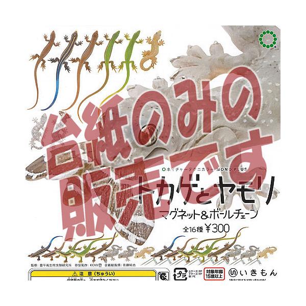 y񔄕ifBXvC䎆zlC`[eNjJ[ MONO PLUS gJQ  }Olbg  {[`F[  K`| K`K` KV|