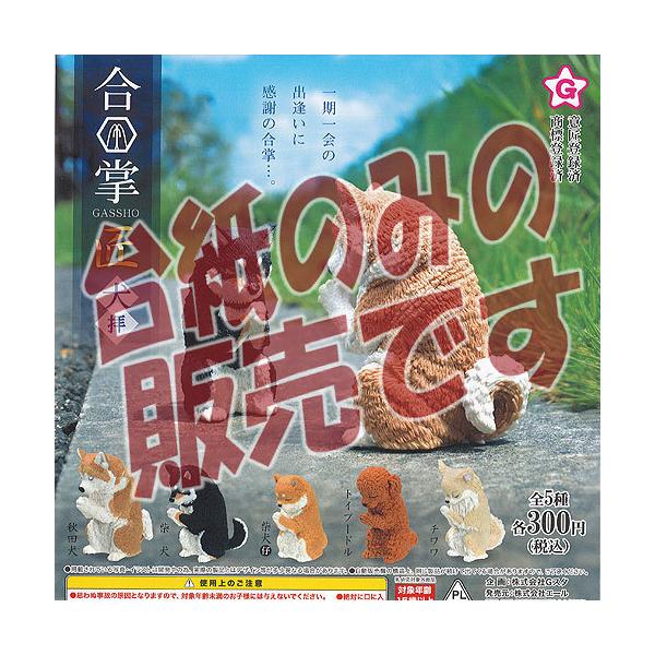 y񔄕ifBXvC䎆z GASSHO  q G[ K`| K`K` KV|