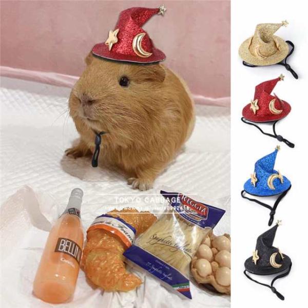 ハムスターの帽子 ハロウィンハムスター ハムスター チンチラ