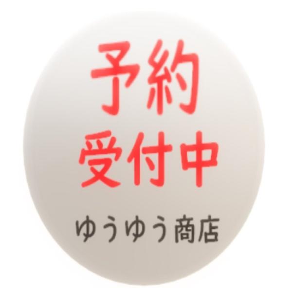マジックザギャザリング ストリクスヘイヴンの秘密 コレクター