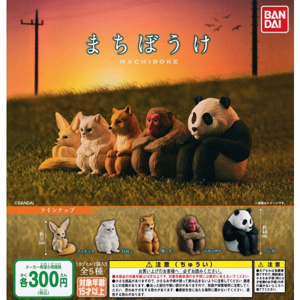 まちぼうけ 各種類セット Amazon | まちぼうけ13 [全5種セット(フルコンプ)]【カプセル未
