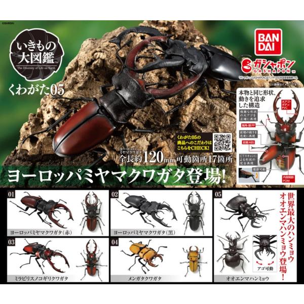 いきもの大図鑑 くわがた05 全5種セット フルコンプ ガチャガチャ カプセルトイ バンダイ