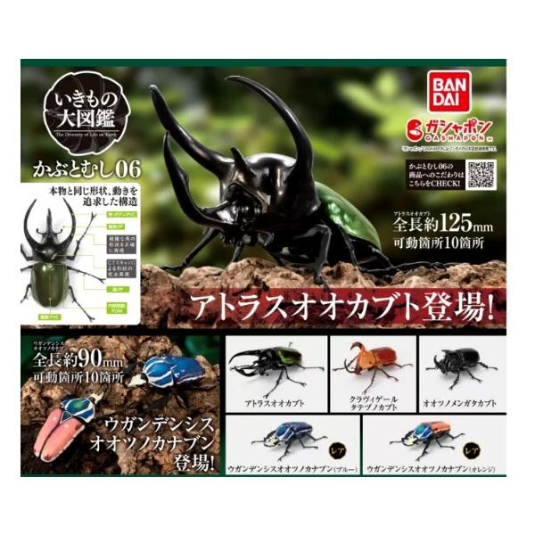 いきもの大図鑑 かぶとむし06 全5種セット フルコンプ バンダイ ガチャガチャ カプセルトイ