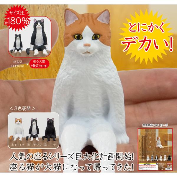 在庫品 座る大猫 全3種セット ゆうゆう 商店 通販 Yahoo ショッピング