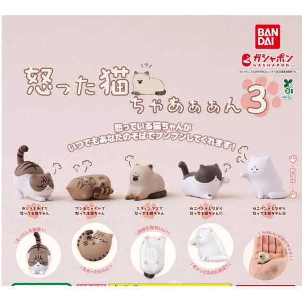在庫品）怒った猫ちゃあぁぁん3 全5種セット : ゆうゆう 商店