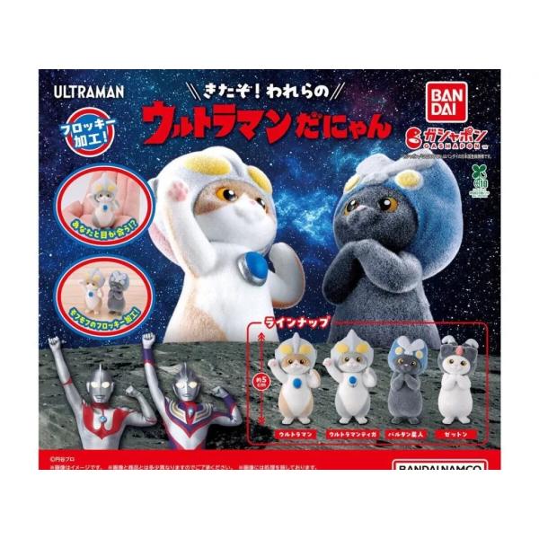 yuyuspi_4582769846632