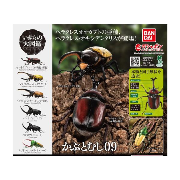 ガプトイ様　おまとめ　セット品（2） せいさん専用 ガタック BLACKRX カブト ブレイド ZX 2号 - メルカリ