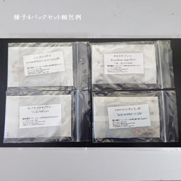 ［山野草 種子］山野草の種子 7パックセット