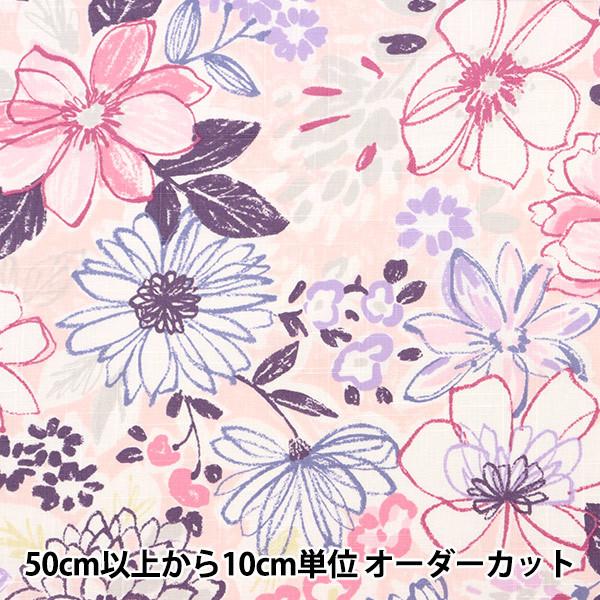 y5z n wG~RRNV XuNX Pastel (pXe) sN SEC2401-Px