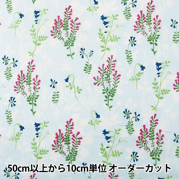 y5z n w60[ t[VGbg pE_[u[x YUWA L֏X