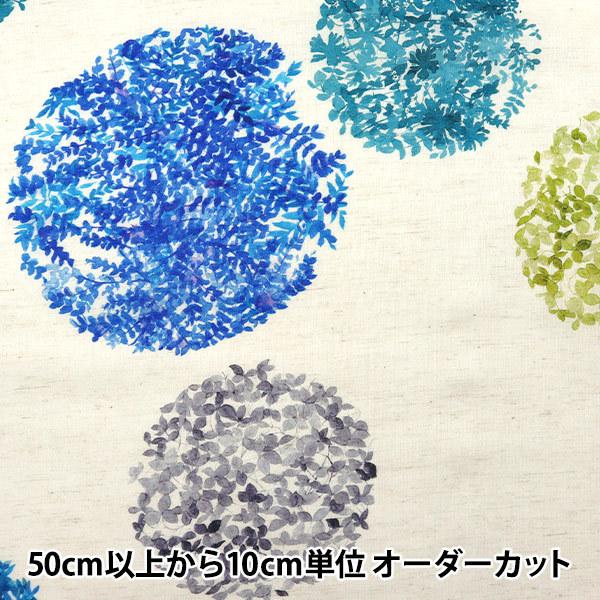 y5z n wyui ȖRpX CNWFbg ʕ EGXA-6411-1Ax KOKKA Rb