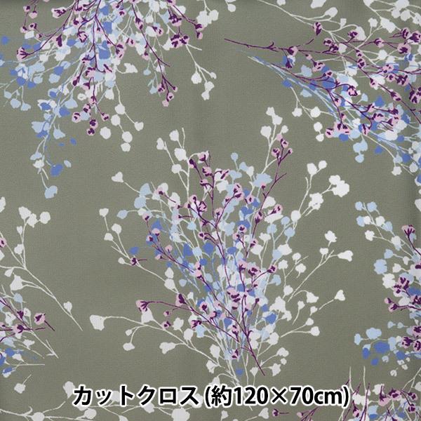 n w|GXe^t^ RہEH 120×70cm JbgNX GY 155-9036-B2x