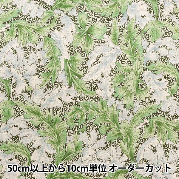 y5z n wȖV[`O kӉԕ YUZ-857-1x mansell }ZRNV yU菤iz