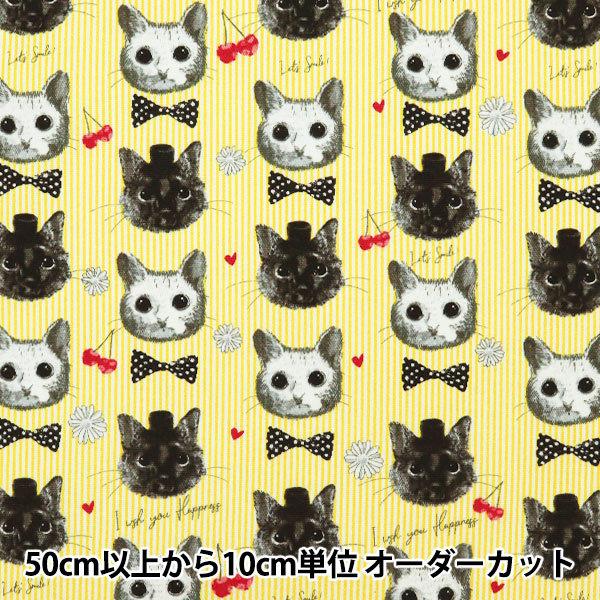 y5z n wIbNX patch work animals lR&amp;`F[ CG[ LOA-61030-2Bx KOKKA RbJ