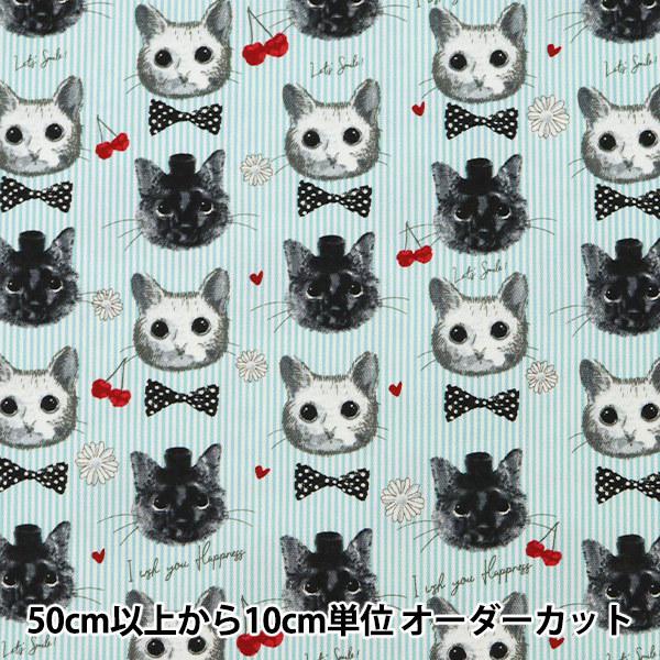 �y����5����z ���n �w�I�b�N�X patch work animals �l�R&amp;�`�F���[ �u���[ LOA-61030-2C�x KOKKA �R�b�J