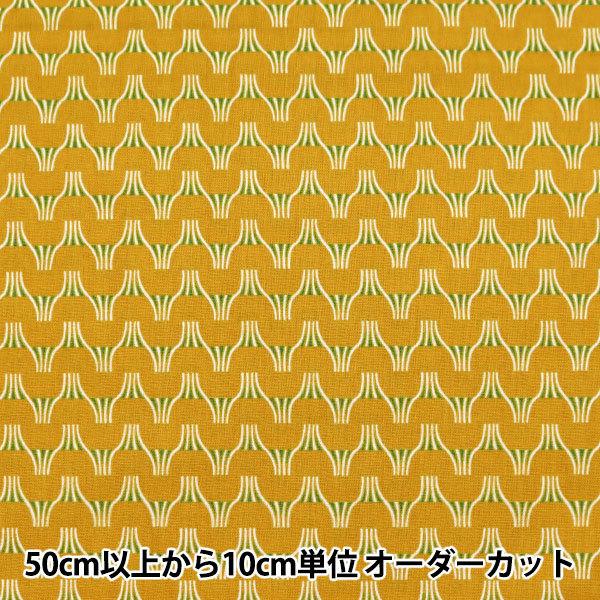 y5z n wTAYUTOU ȖV[`O FUJI }X^[h EKX-5120-1Bx KOKKA