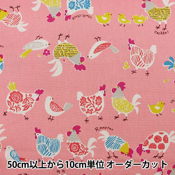 y5z n wIbNX R[Wp^[  YPA-26020-2Bx KOKKA RbJ