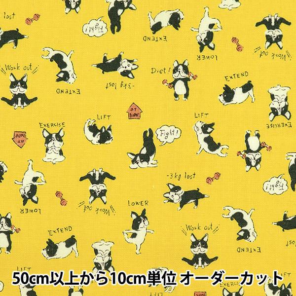 y5z n wV[`O уv t`u CG[ YKA-89000-1Cx KOKKA RbJ