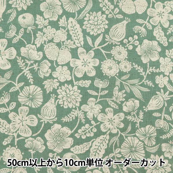 y5z n wȖV[`O Natural{^jJ ACXO[ YGA-49080-2Cx KOKKA RbJ