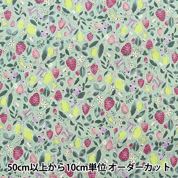 y5z n wV[`O C`S  YWA-21010-1Cx KOKKA RbJ