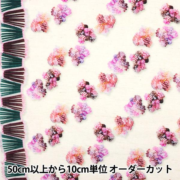 y5z n wHyakka by Chihiro Hasunuma CNWFbg ȖRpX EGXA-9002-3Ax KOKKA RbJ