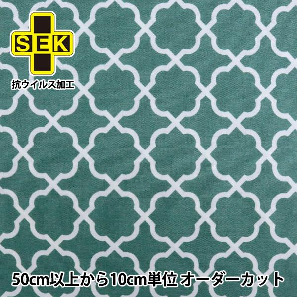 �y����5����z ���n �w�R�E�C���X�E�R�� �I�b�N�X�v�����g FT�~�j�t�F�X �~���g�O���[�� 36800-3747C�x