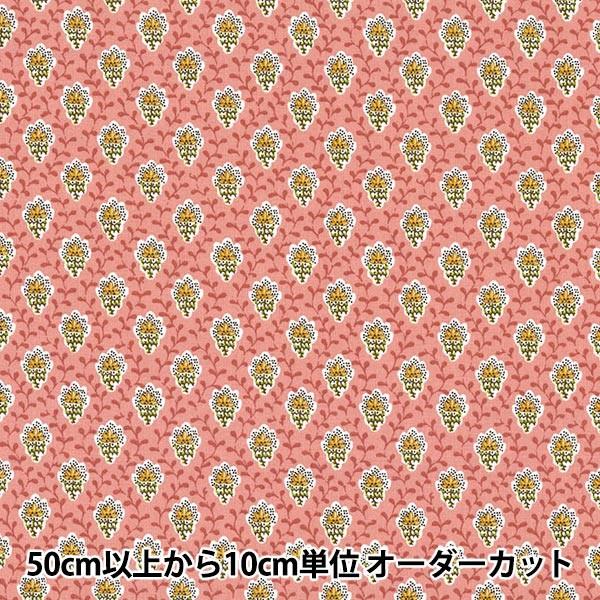 y5z n wSOULEIADO \CA[h veBbgEt[EfEV SLF-518Ex