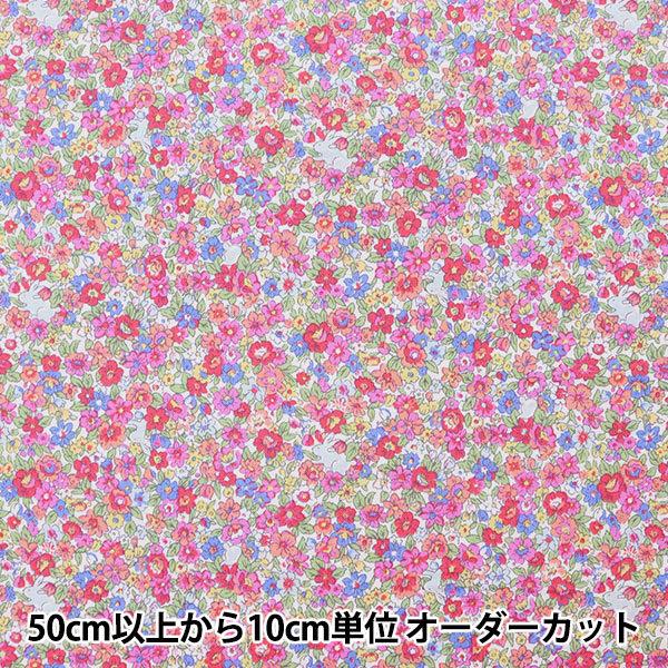 y5z n wimaDOKI V[`Ovg XNICH rbgt[ ItzCg IMAF-10OWx