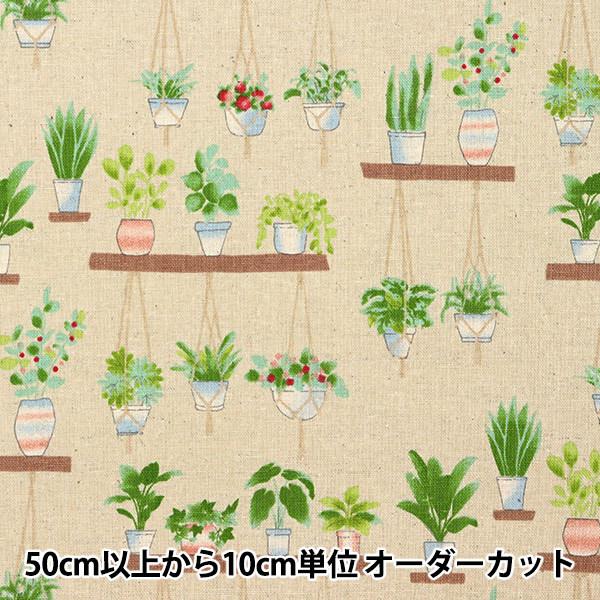 y5z n wȖLoX FUWARI v^[ x[W 7700-6Bx