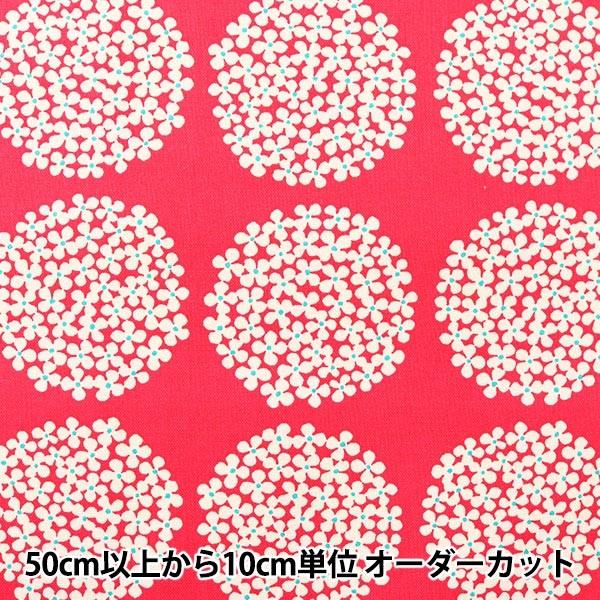 y5z n w̕z 10ԃLoX  UP5553-B bhx COTTON KOBAYASHI Rbg΂₵ ё@