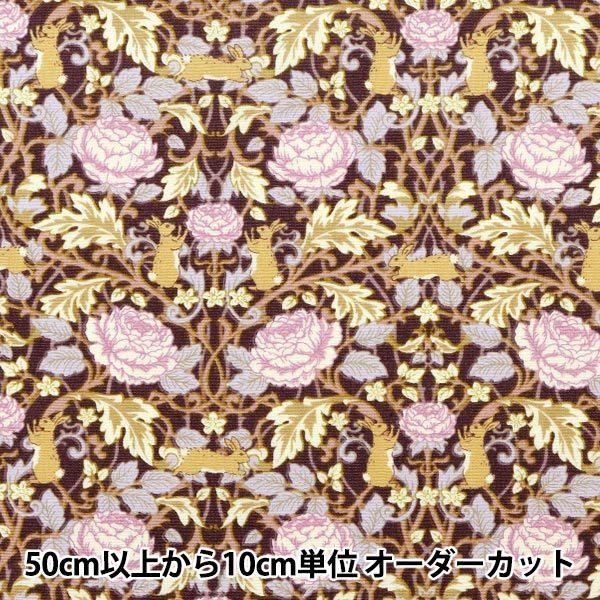 y5z n wu[h t  KTS6799-Ex COTTON KOBAYASHI Rbg΂₵ ё@