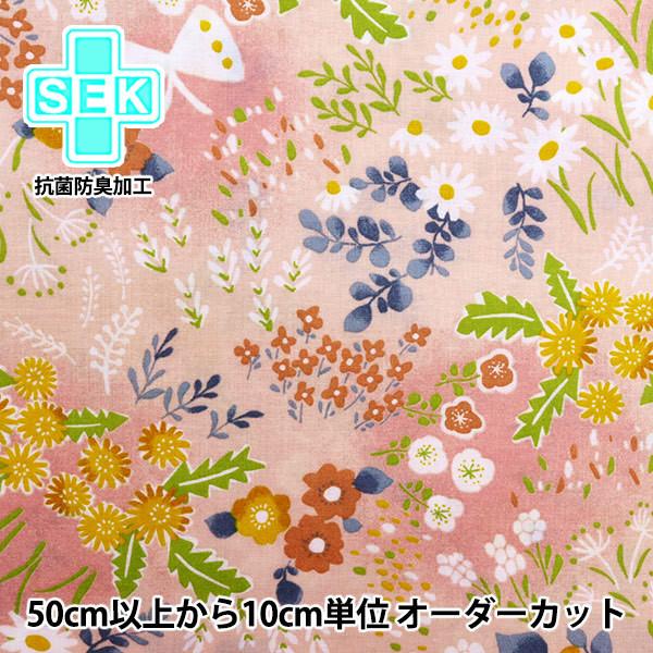 y5z n wRۖhLEv~A\tgH ȃV[`O Luonto(Ig) t̖쌴 sN 148-1256-A2x