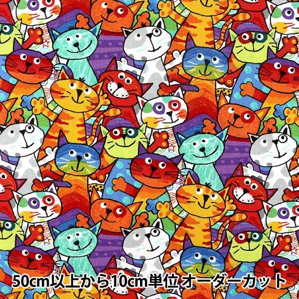 y5z n wCNWFbgvg p[eB[Lbg C6341-MULTIx USARbg