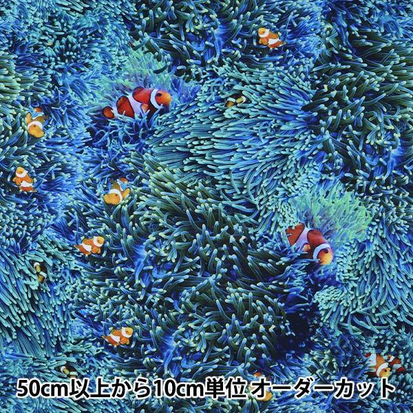 y5z n wCNWFbgvg N}m~ R4664-316x USARbg