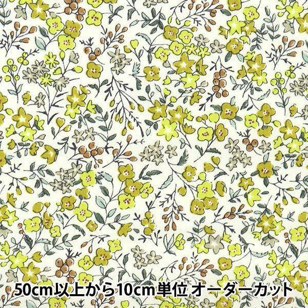 y5z n wu[h gt[K[f AeB[NCG[ SHULIFL-Ex